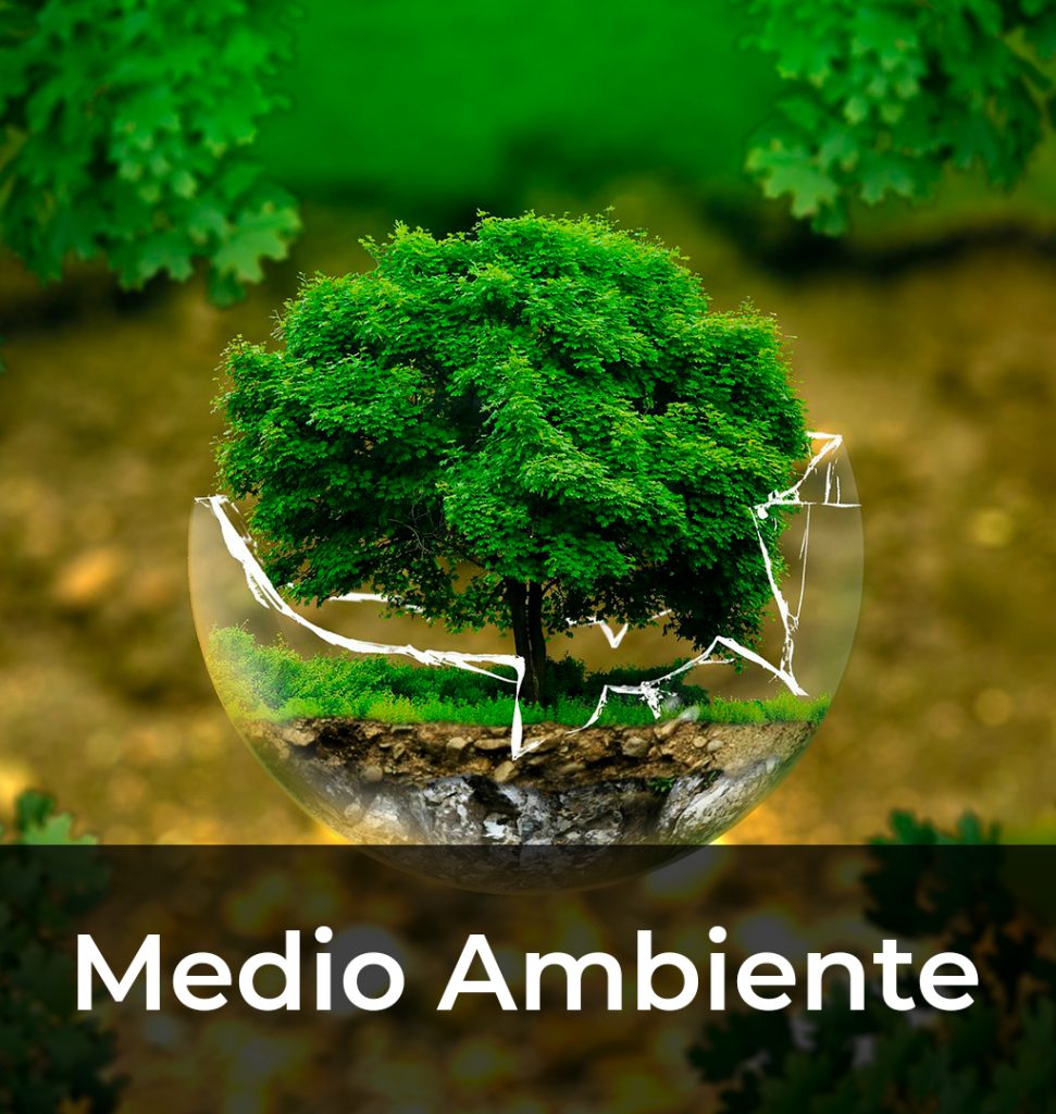 10 Medio Ambiente