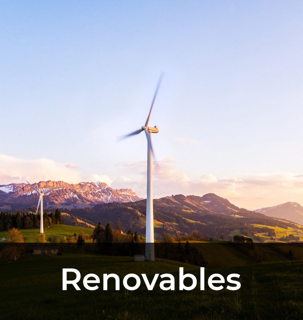 11 Renovables
