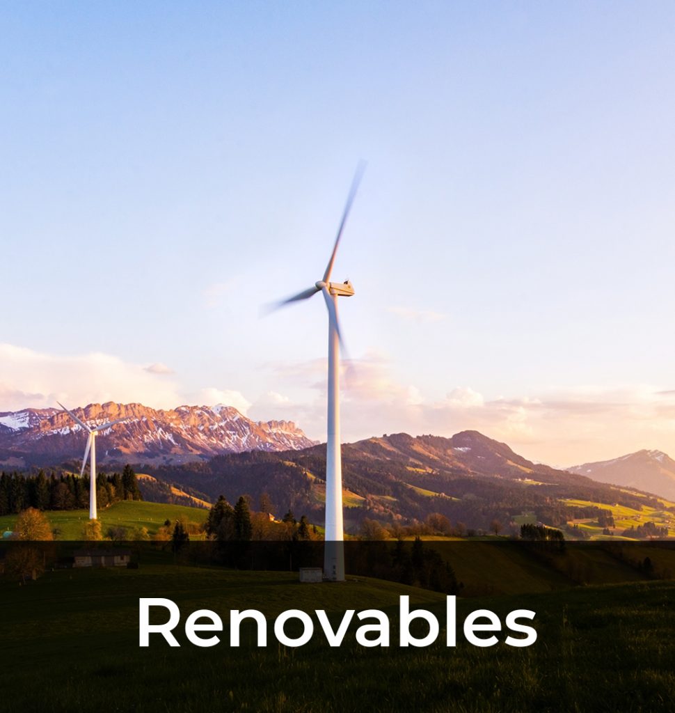 11 Renovables