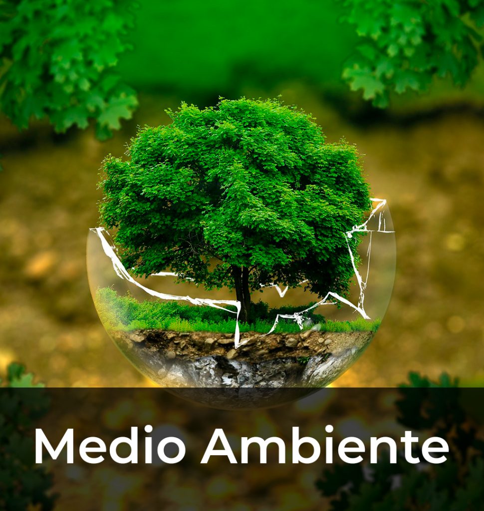 10 Medio Ambiente