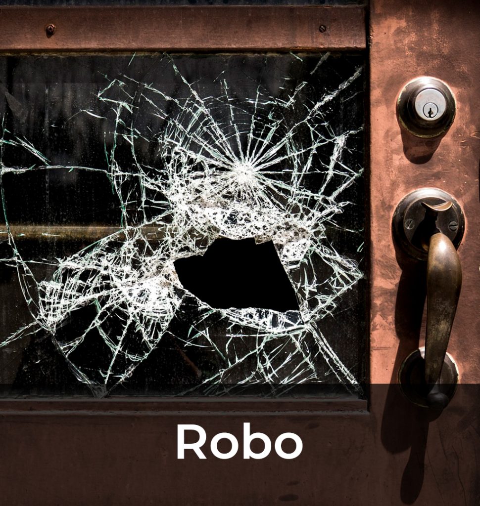 3 Robo